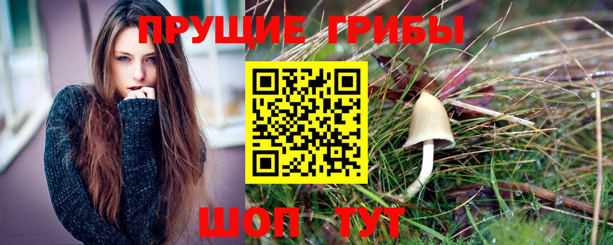 Галлюциногенные грибы Cubensis Миасс